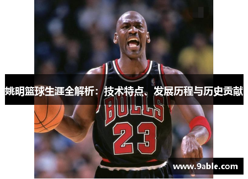 姚明篮球生涯全解析：技术特点、发展历程与历史贡献