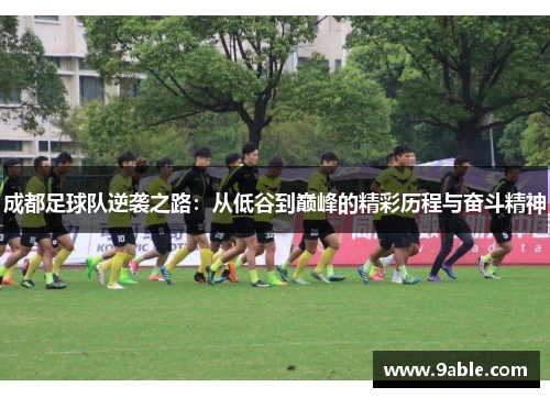 成都足球队逆袭之路：从低谷到巅峰的精彩历程与奋斗精神